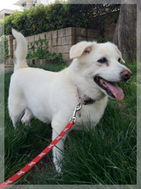 くらさんの写真2